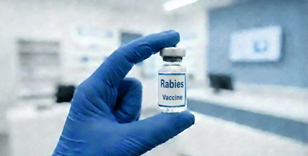 rabies vaccination uk